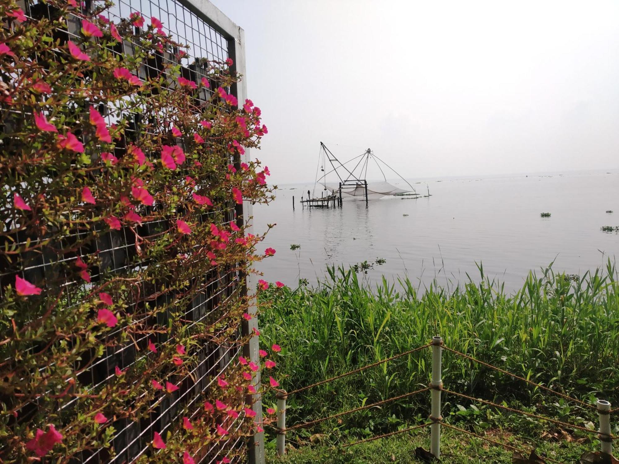 데샤단 백워터 리조트 Alappuzha 외부 사진